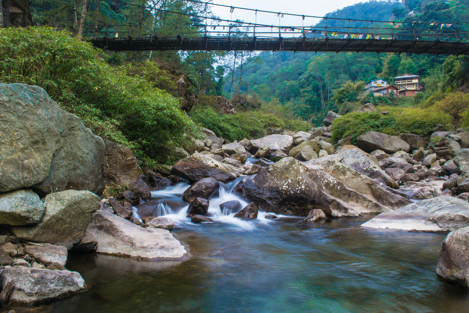 Photo of Sandakphu- Trekker's Paradise 8/8 by Himadri Sinha Roy