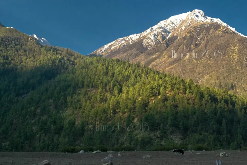 Photo of Chitkul, Himachal Pradesh, India by Himadri Sinha Roy