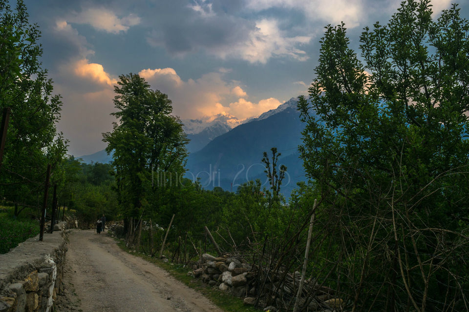 Photo of Kalpa - The Queen of Himachal 2/2 by Himadri Sinha Roy