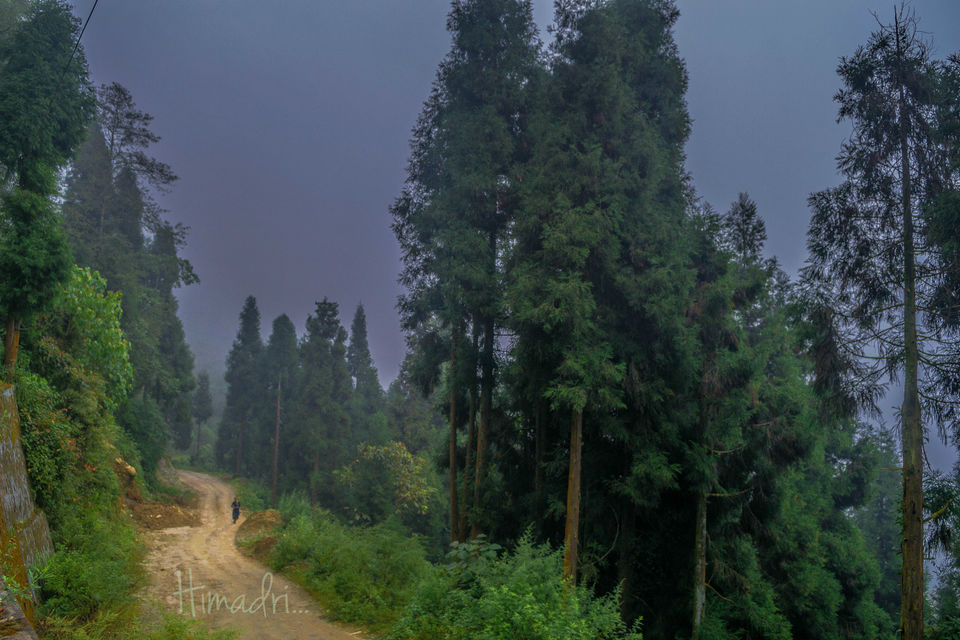 Photo of Bermiok - A small hamlet in West Sikkim 1/5 by Himadri Sinha Roy