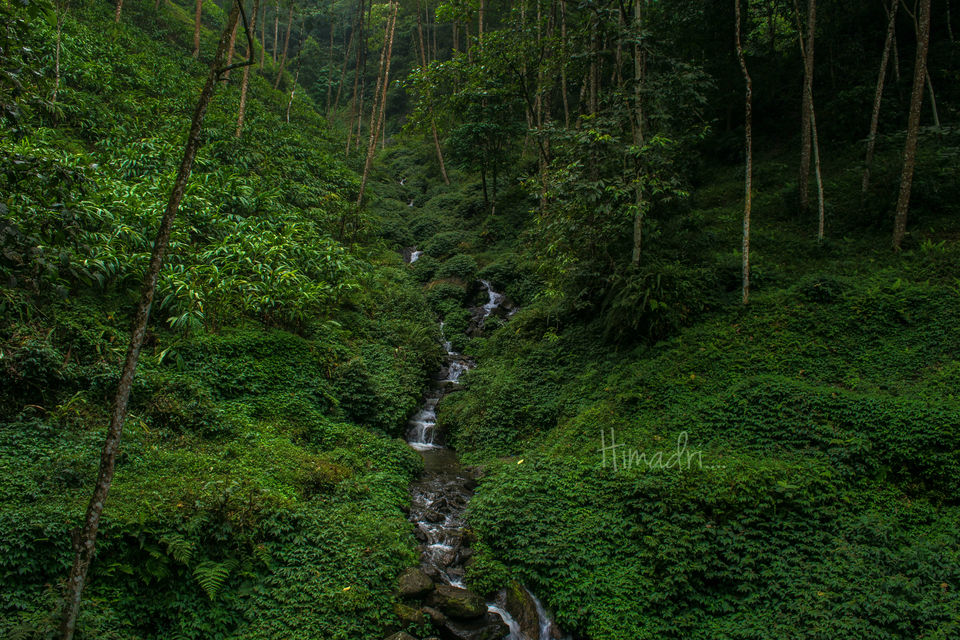 Photo of Bermiok - A small hamlet in West Sikkim 3/5 by Himadri Sinha Roy