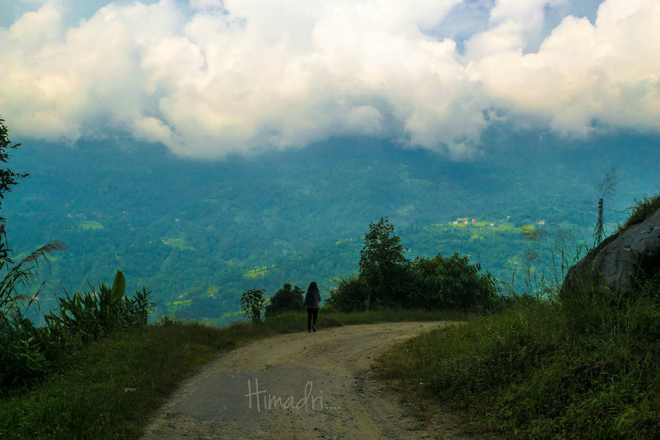 Photo of Bermiok - A small hamlet in West Sikkim 4/5 by Himadri Sinha Roy