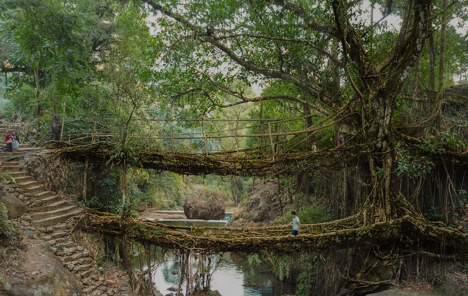 Photo of Serene Homestay, Nongriat, Meghalaya, India by Pratyush Thakur