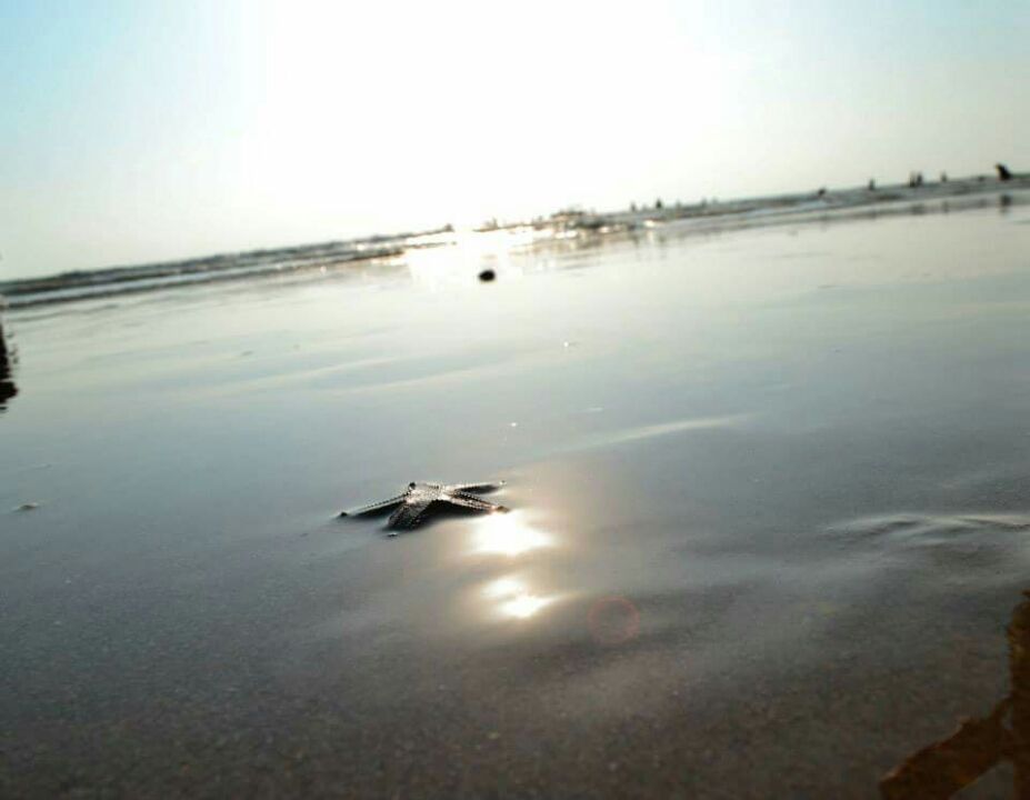 Photo of When life stuck ,travel 10/10 by Ashish Rajbhar