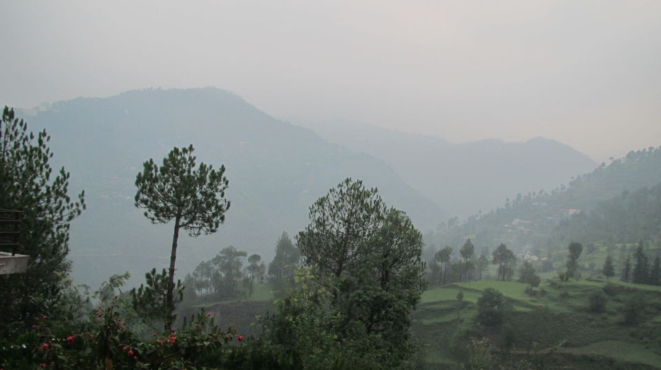 Photo of Princely Jūnga - Himachal Pradesh, India 2/19 by Deepak Yadav