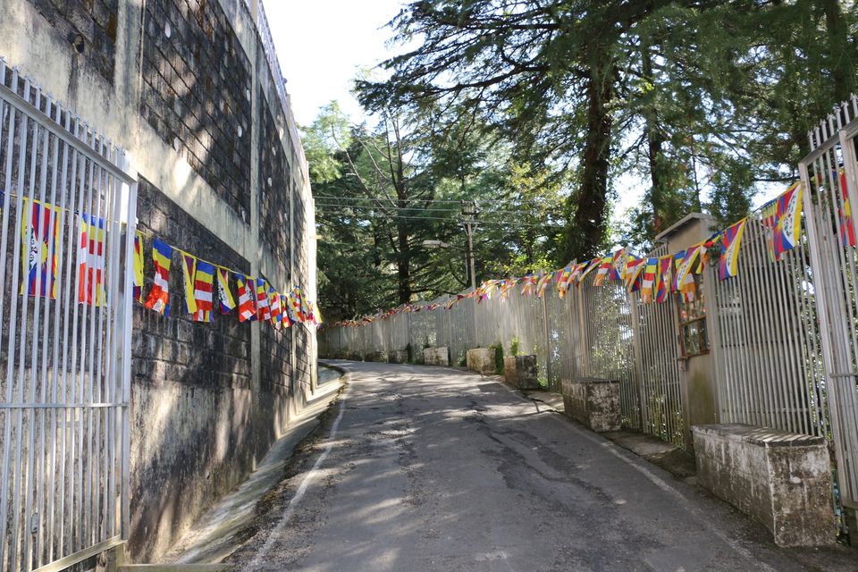 Photo of Exploring Southern branch of Greater Himalayas (Dharamshala, Mcleodganj & Pilgrimages). 11/52 by Deepak Yadav