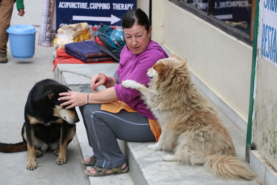 Photo of Exploring Southern branch of Greater Himalayas (Dharamshala, Mcleodganj & Pilgrimages). 41/52 by Deepak Yadav