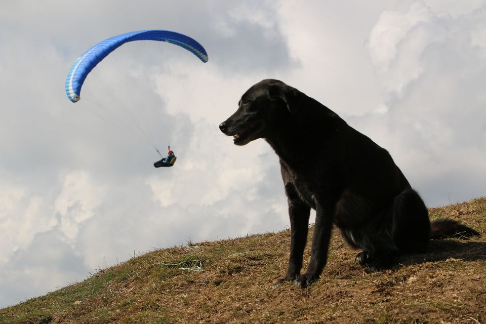 Photo of The Paragliding Capital of India. Adventures of Bir and Billing. 16/38 by Deepak Yadav