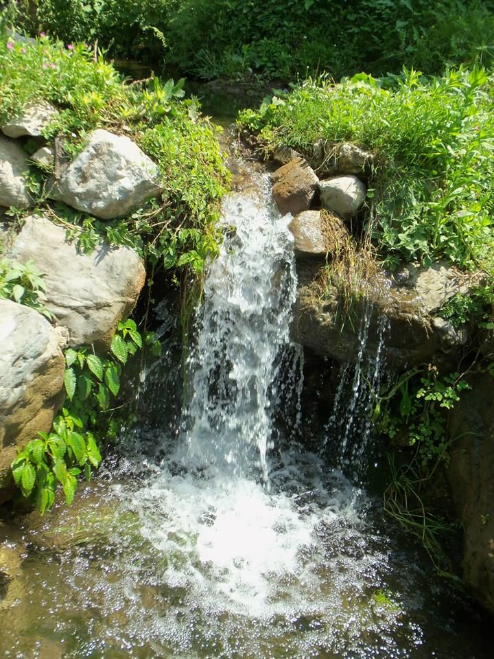 Photo of Chakrata - An unexplored place blessed with natural beauty in Devbhumi hills... 1/25 by Deepak Yadav