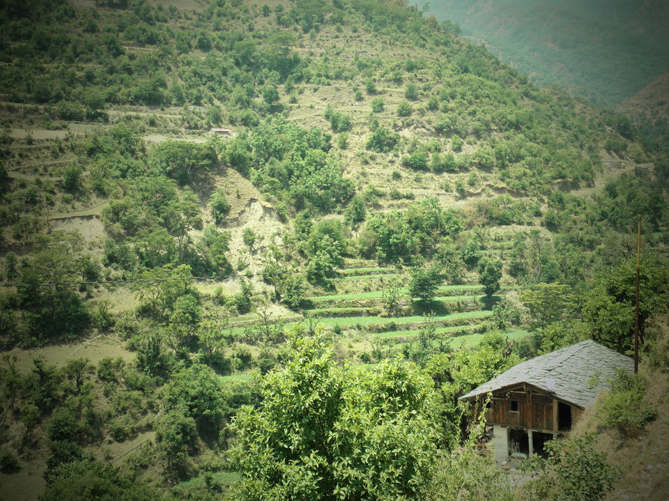 Photo of Chakrata - An unexplored place blessed with natural beauty in Devbhumi hills... 13/25 by Deepak Yadav