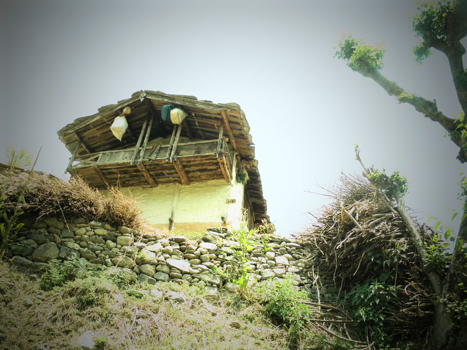 Photo of Chakrata - An unexplored place blessed with natural beauty in Devbhumi hills... 14/25 by Deepak Yadav