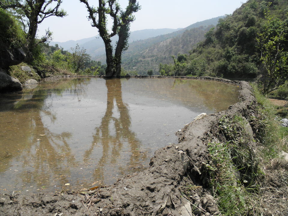 Photo of Chakrata - An unexplored place blessed with natural beauty in Devbhumi hills... 15/25 by Deepak Yadav