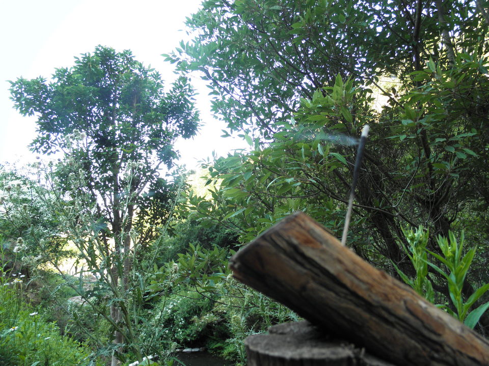 Photo of Chakrata - An unexplored place blessed with natural beauty in Devbhumi hills... 21/25 by Deepak Yadav