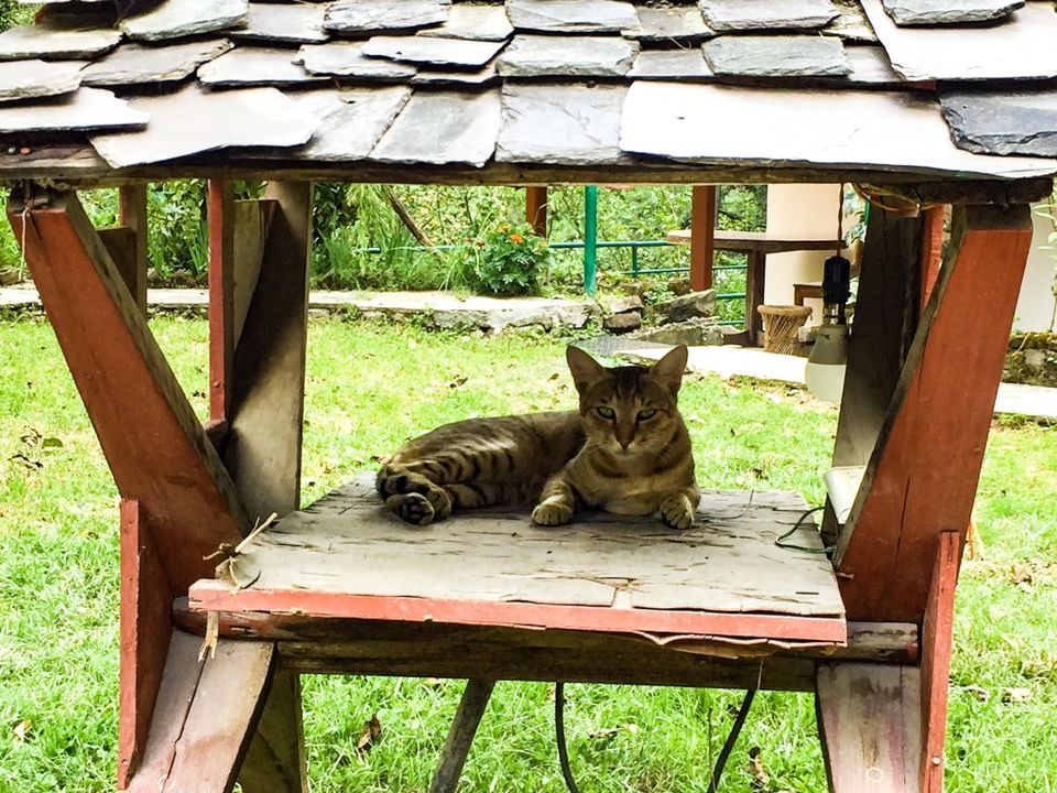 Photo of Parvati Kuteer, Kasol, Himachal Pradesh, India by Design Pandits
