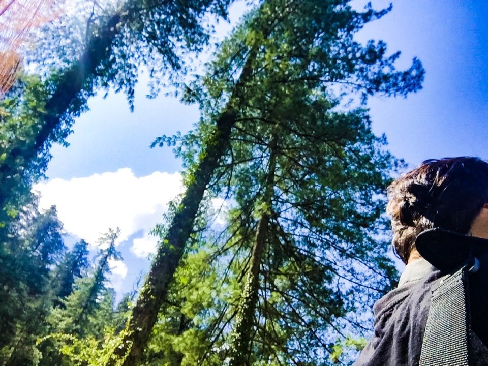 Photo of Parvati Kuteer, Kasol, Himachal Pradesh, India by Design Pandits