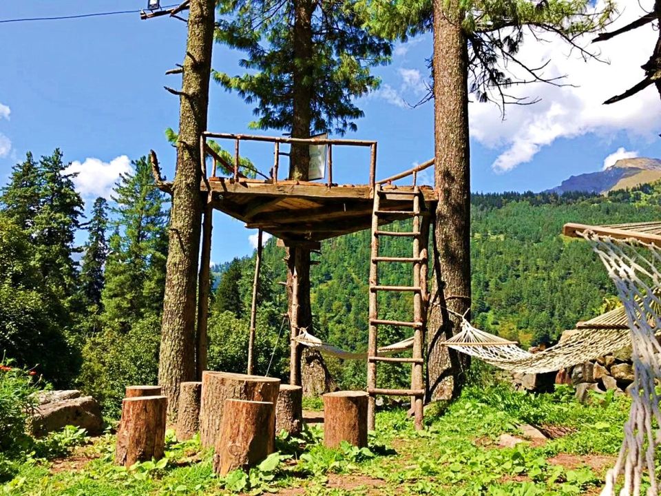 Photo of Tosh, Himachal Pradesh, India by Design Pandits