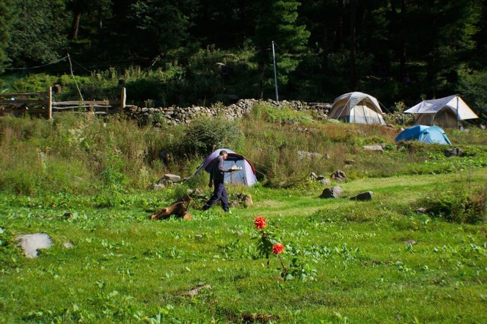 Photo of Tosh, Himachal Pradesh, India by Design Pandits