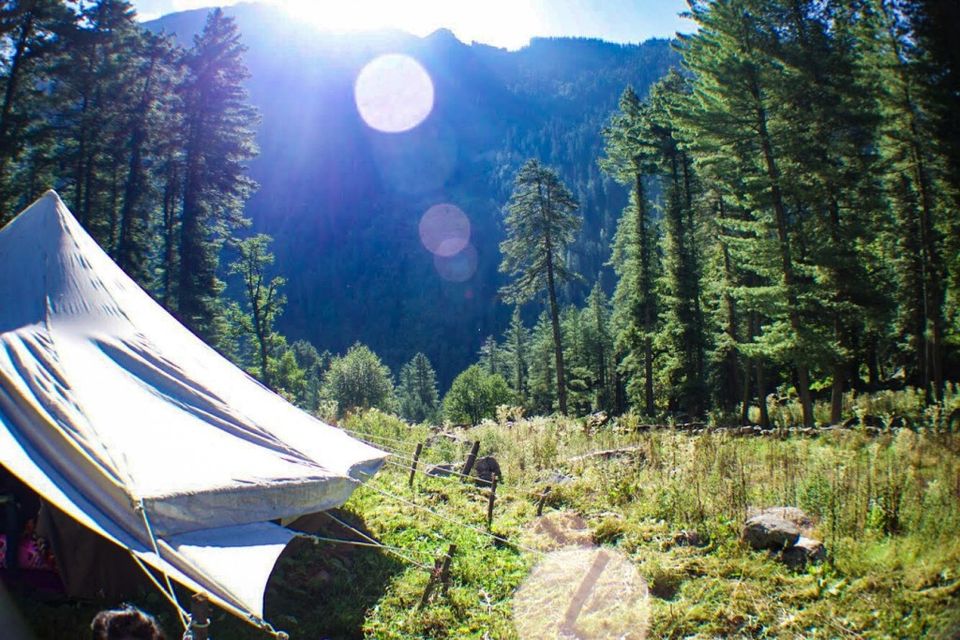 Photo of Kutla, Himachal Pradesh, India by Design Pandits