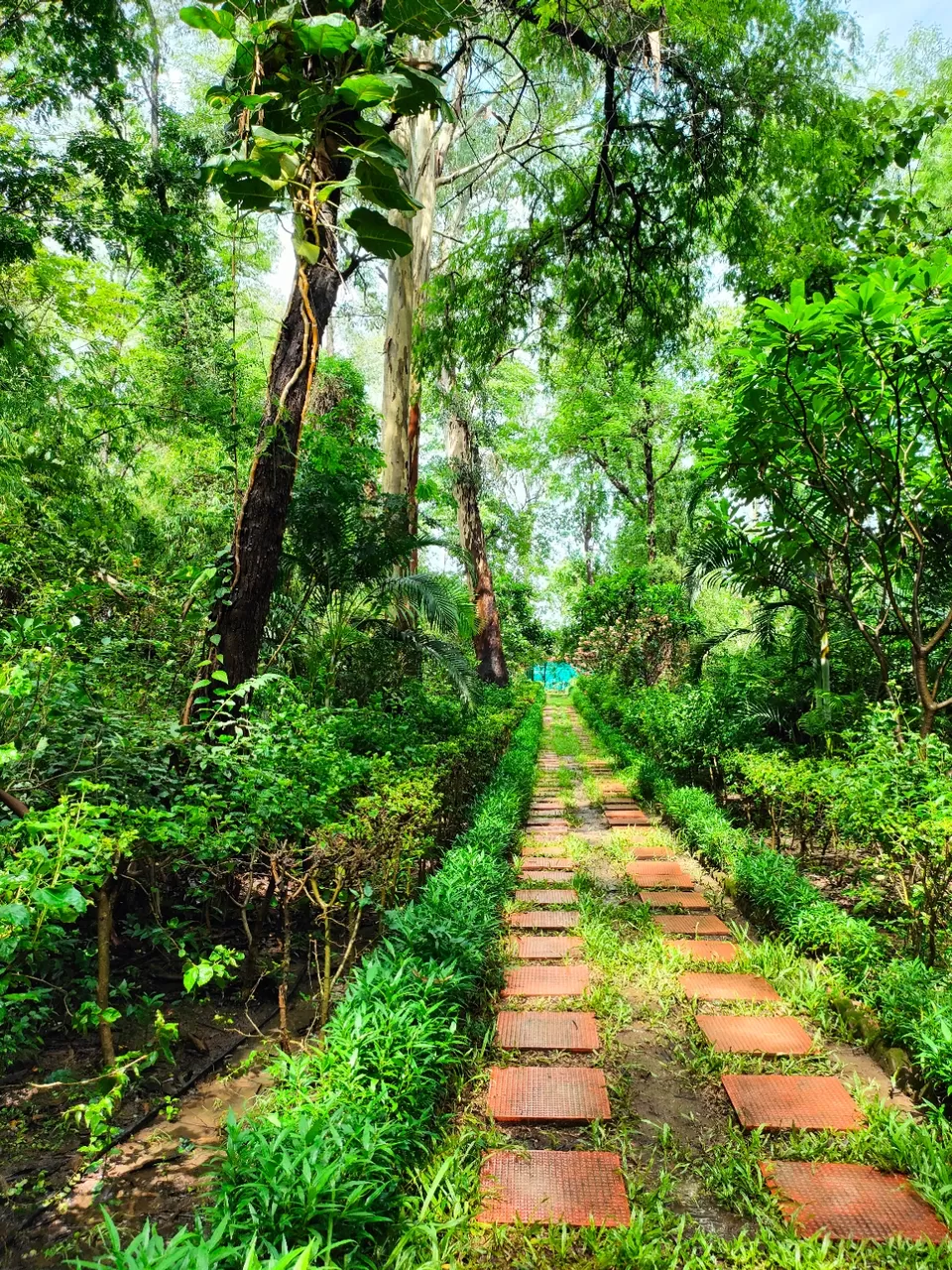 Photo of Dudhani Lake Boating Point by Wanderwoman