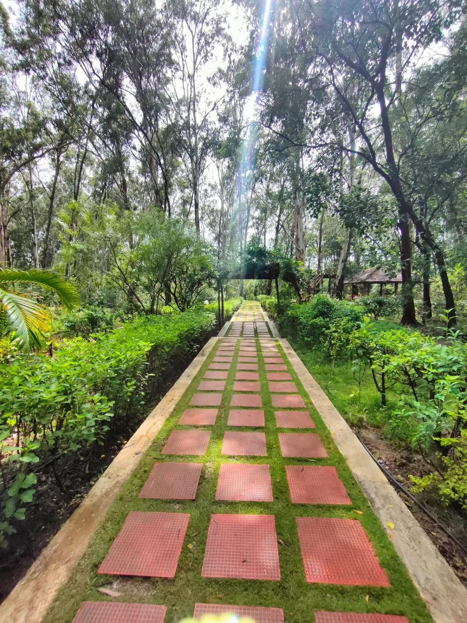 Photo of Dudhani Lake Boating Point by Wanderwoman