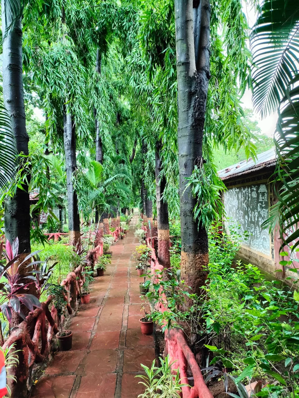 Photo of Dudhani Lake Boating Point by Wanderwoman