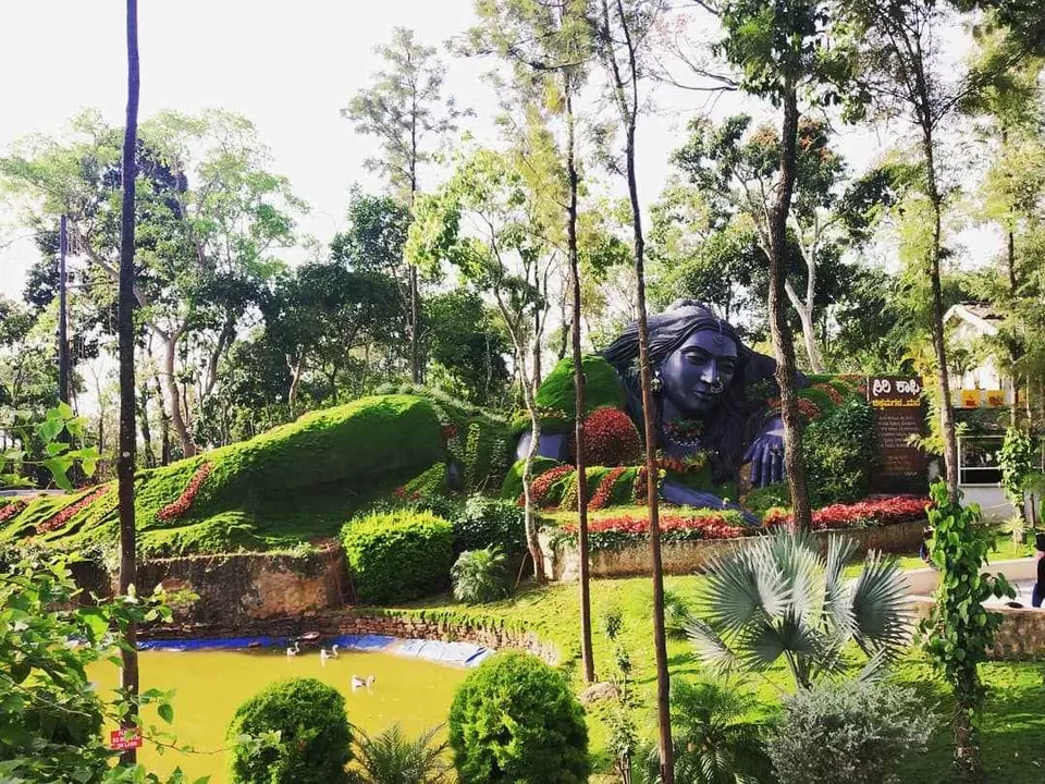 Photo of Siri Coffee, Chikmagalur, Karnataka, India by Titli Ghosh
