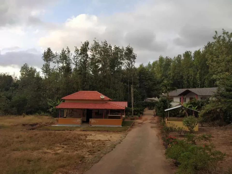 Photo of Zostel Chikmagalur, near Neeladri Nursery, Aladagudde, Karnataka, India by Titli Ghosh
