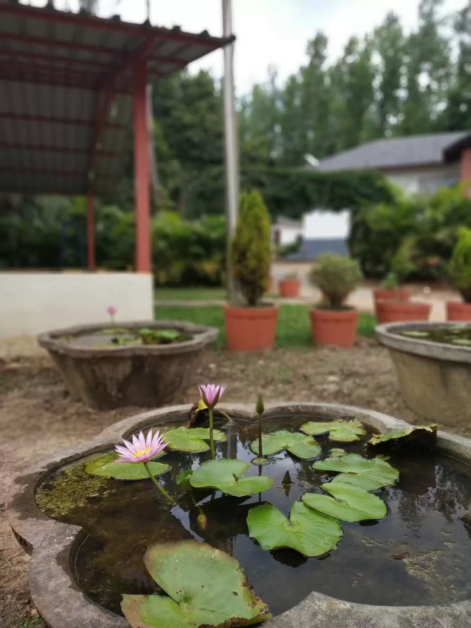 Photo of Zostel Chikmagalur, near Neeladri Nursery, Aladagudde, Karnataka, India by Titli Ghosh