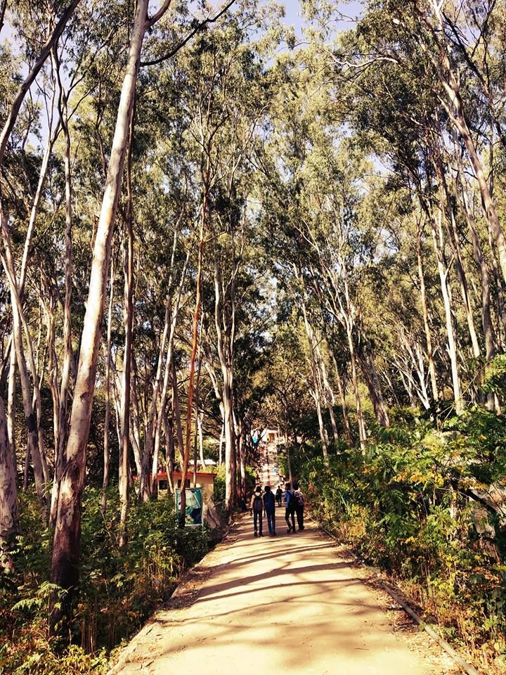 Photo of The First Road Trip of 2019: Antargange by Titli Ghosh