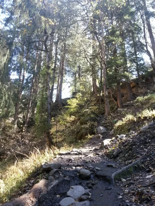 Photo of Bharshaini and enroute Kheerganga by chrisgupta009