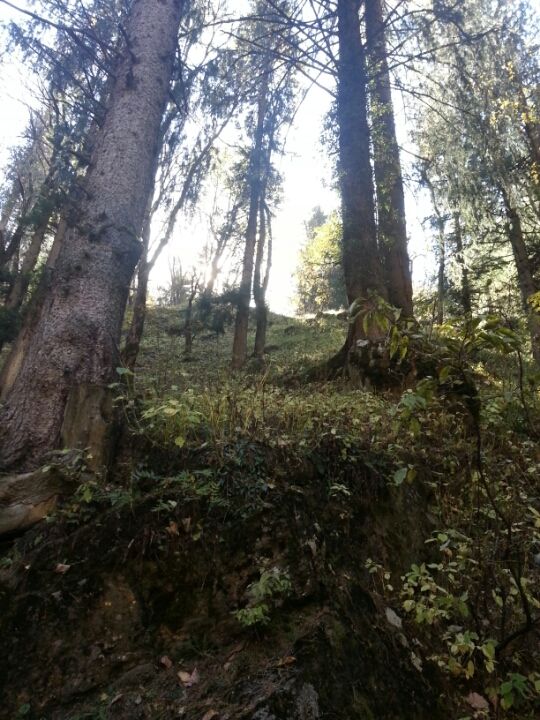 Photo of A slice of heaven: Kasol and Kheerganga trek by chrisgupta009