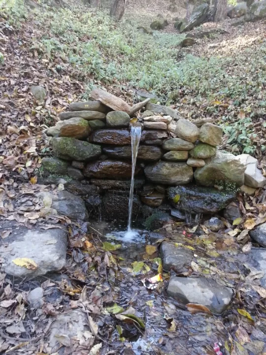 Photo of Bharshaini and enroute Kheerganga by chrisgupta009