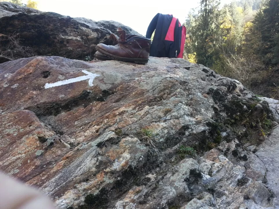 Photo of Bharshaini and enroute Kheerganga by chrisgupta009