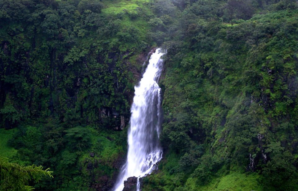 Photo of Monsoon Magic - KAAS 20/23 by Snehal Tendulkar