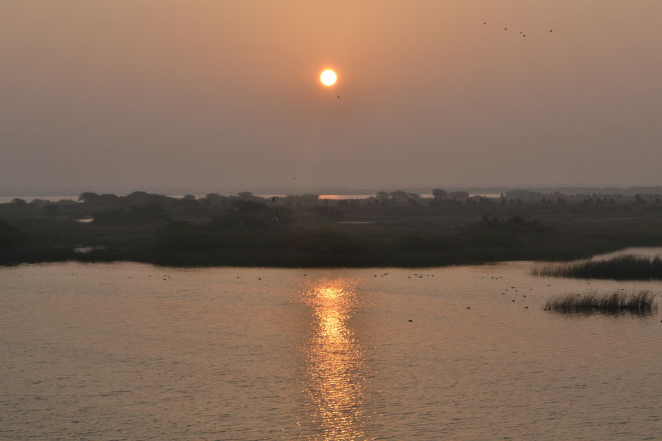Photo of My Perfect Chirpy day in Jamnagar, Gujrat 1/18 by Snehal Tendulkar