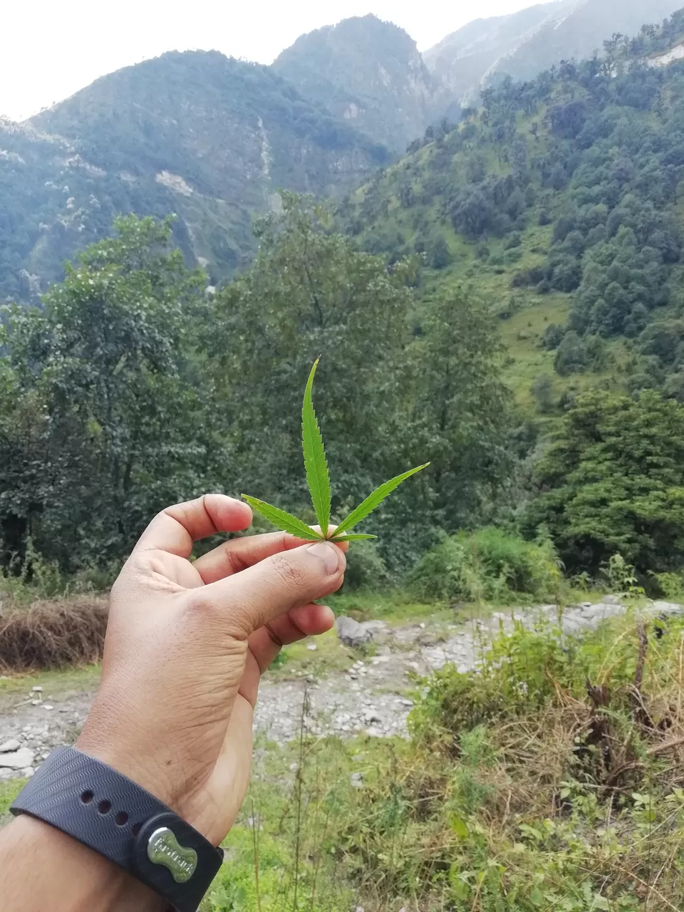 Photo of Bedini Bugyal, Roopkund Trail, Uttarakhand, India by Shanu Thakur