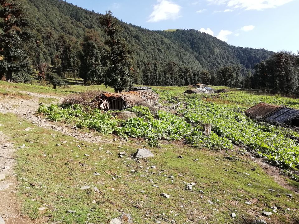 Photo of Bedini Bugyal, Roopkund Trail, Uttarakhand, India by Shanu Thakur
