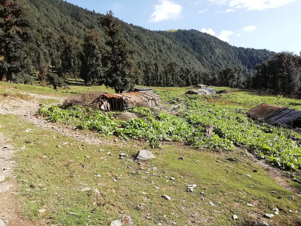 Photo of Bedini Bugyal, Roopkund Trail, Uttarakhand, India by Shanu Thakur