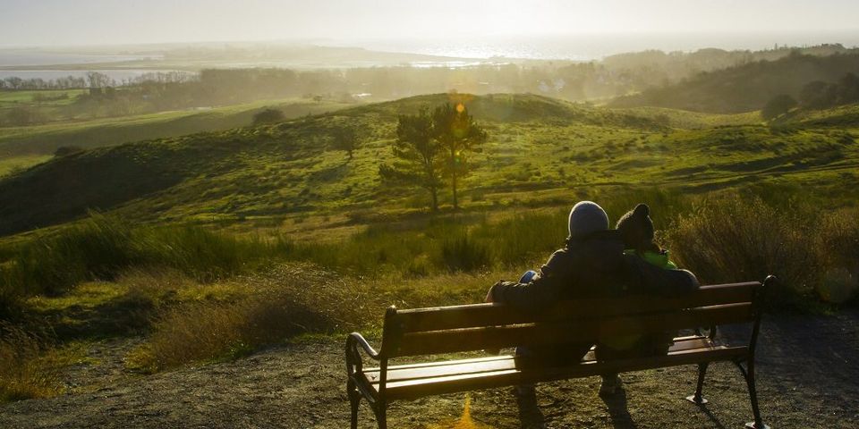 Photo of Holimate Points Out The 7 Things A Travel Mates Must Have 1/4 by Shanu Thakur