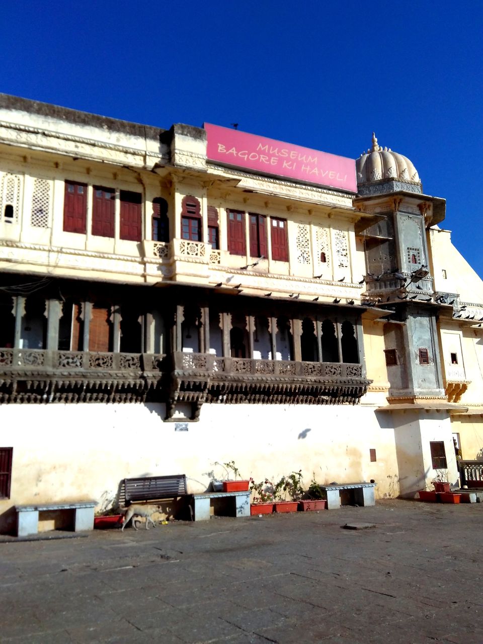 Photo of Palaces and More (Udaipur Solo Trip) 4/26 by TUSHAR RASTOGI
