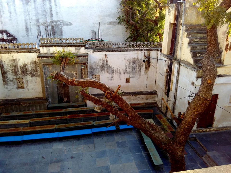 Photo of Palaces and More (Udaipur Solo Trip) 8/26 by TUSHAR RASTOGI