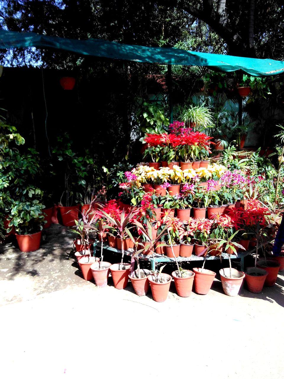 Photo of Palaces and More (Udaipur Solo Trip) 15/26 by TUSHAR RASTOGI