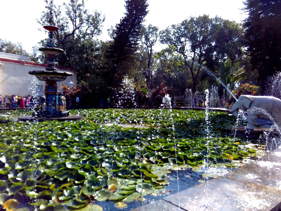 Photo of Palaces and More (Udaipur Solo Trip) 14/26 by TUSHAR RASTOGI