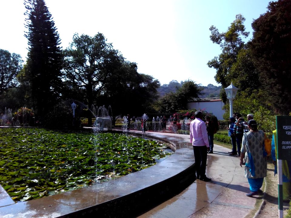 Photo of Palaces and More (Udaipur Solo Trip) 23/26 by TUSHAR RASTOGI