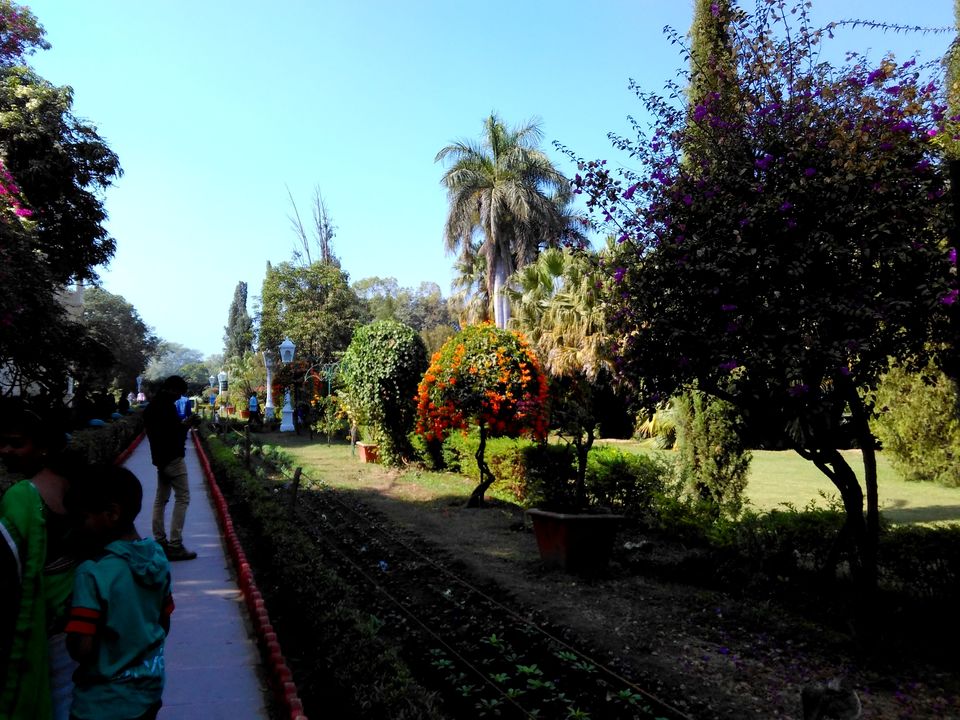 Photo of Palaces and More (Udaipur Solo Trip) 18/26 by TUSHAR RASTOGI