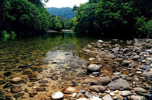 Photo of Mossman Gorge Centre, Mossman Gorge Road, Mossman Gorge, Queensland, Australia by Taelum W