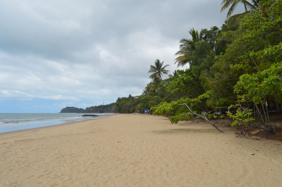 Photo of Four Nights in Beautiful Far North Queensland 1/27 by Taelum W