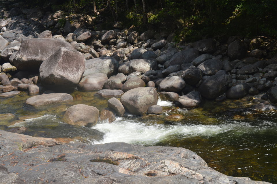 Photo of Four Nights in Beautiful Far North Queensland 5/27 by Taelum W