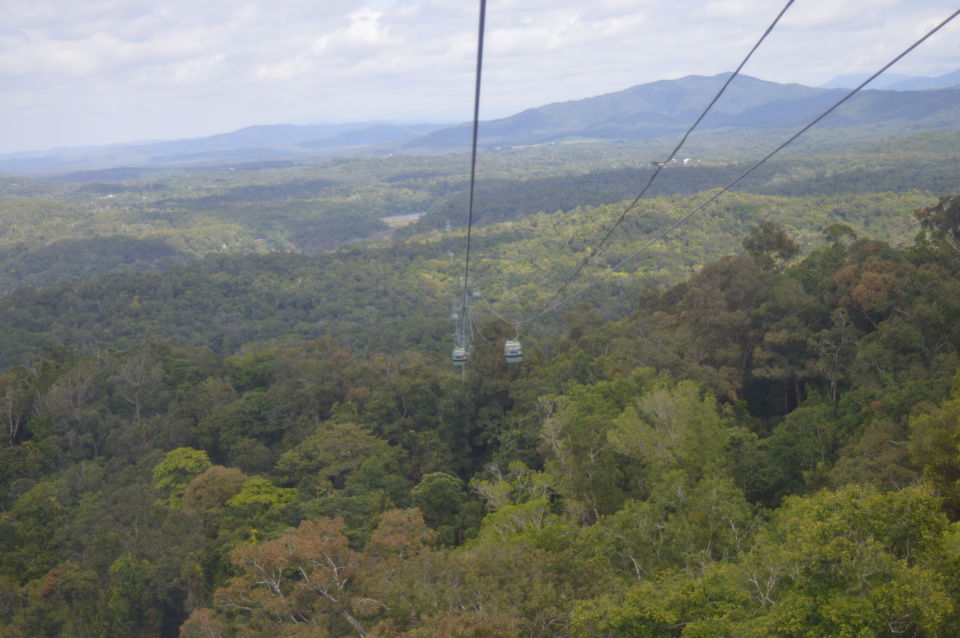 Photo of Four Nights in Beautiful Far North Queensland 8/27 by Taelum W