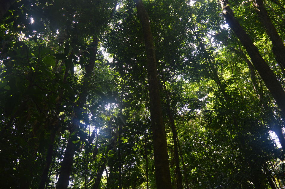 Photo of Four Nights in Beautiful Far North Queensland 9/27 by Taelum W